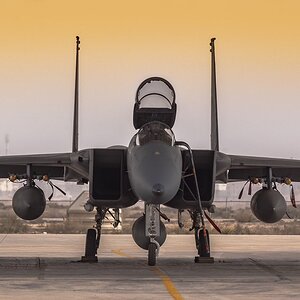 Royal Saudi Air Force F-15C