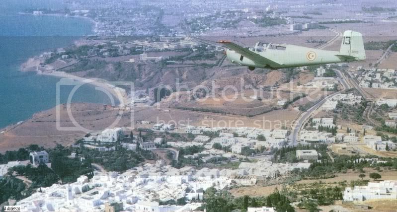 Tunisie-SaabGripen11.jpg