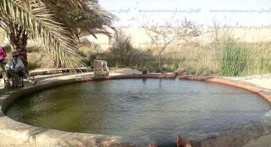 آبار جوفية في واحة سيوة المصرية تغذيها الخزانات الجوفية