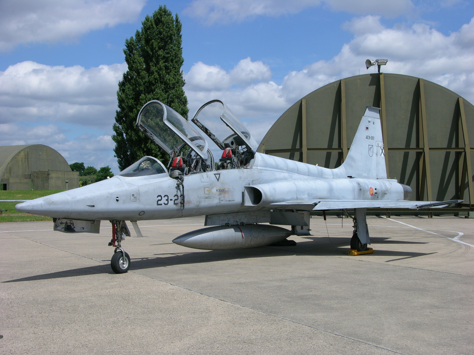 AE.9-00123-23_F-5M_Freedom_Fighter_Ala_23_Spanish_Air_Force_Dijon_AB_2008.jpg