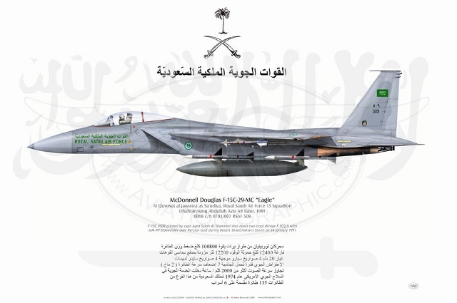 aircraft_f-15c-29-mc_saudi.arabia.jpg