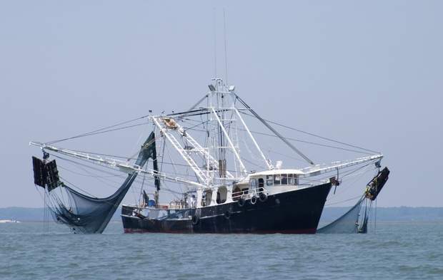 Fishing-vessel.jpg