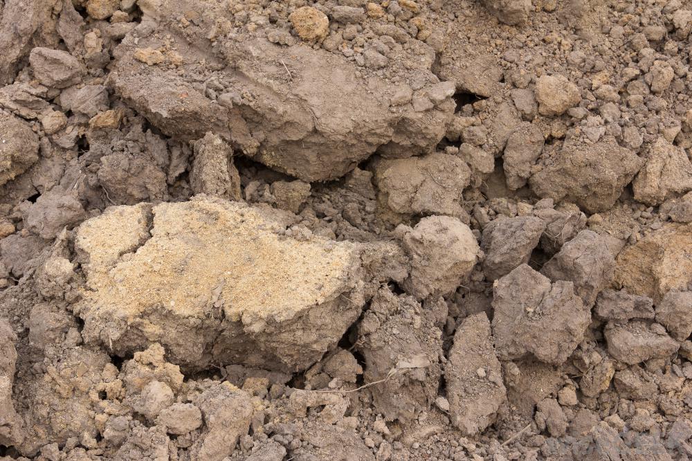 crusty-soil.jpg