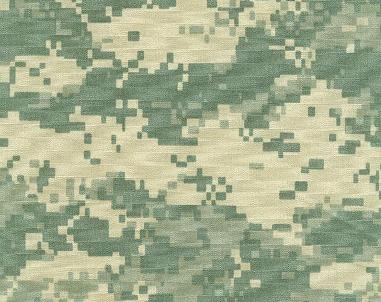 Army_Digital_ACU_Universal_Camouflage_Nylon_RipstopFabric.jpg