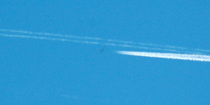 Mystery-plane-685x345.png