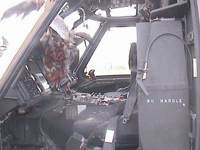 IAF_UH-60_after_birds_strike_inside.jpg