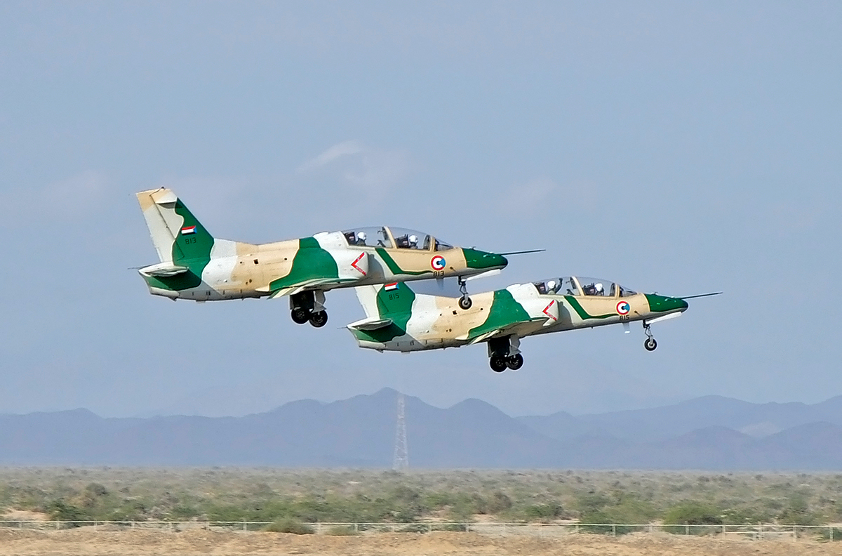 Sudanese_Air_Force_Hongdu_JL-8.jpeg