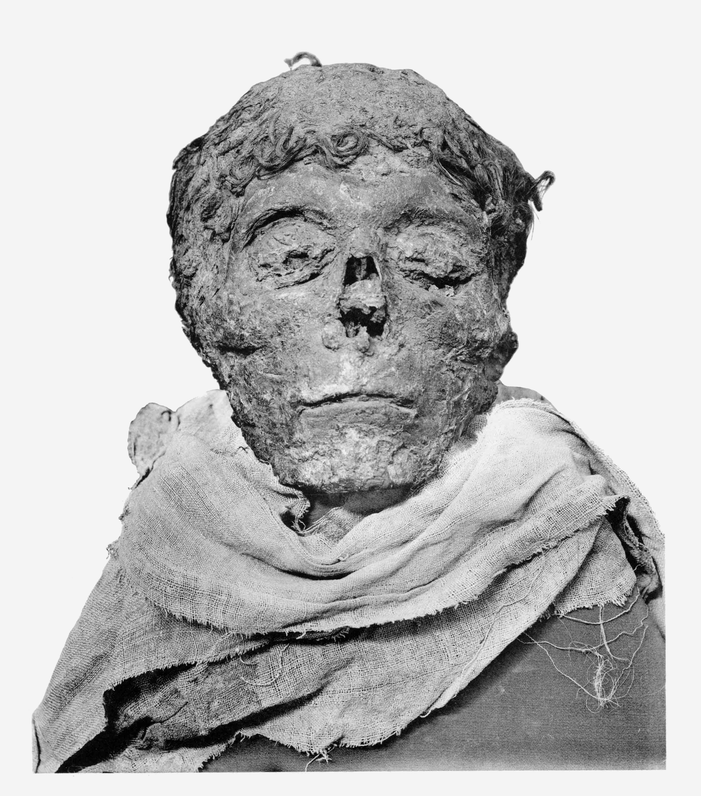 Ahmose-mummy-head.png
