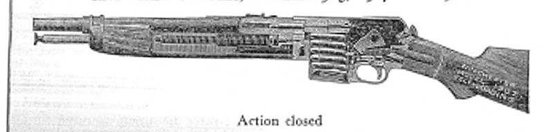 800px-Winchester_Model_1907_rifle.jpg