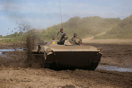 451px-BMP-1_Zlot_Dar%C5%82owo_2009.JPG