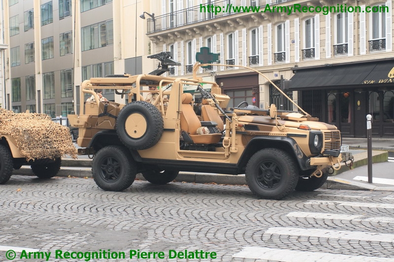 COS_VPS_001_bastille_day_military_parade_French_army_14_July_2012_France_Paris.JPG