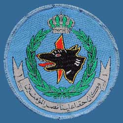 Badge-1-Squadron_1.jpg