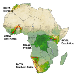 africa-transect_300.jpg