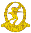 egypt-army-branchinsignia_01.gif