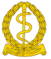 egypt-army-branchinsignia_07.gif