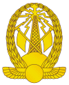 egypt-army-branchinsignia_08.gif