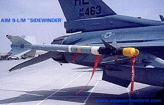 sidewinder1t.JPG