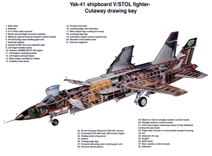yak141-cutaway.png