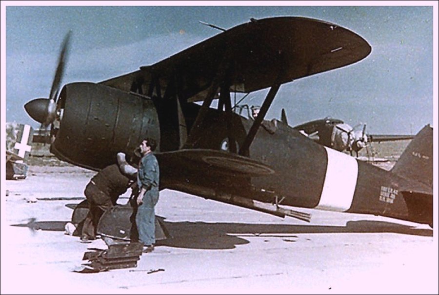 fiat-cr-42cn-falco-night-fighter-color-photo-1941-01.jpg