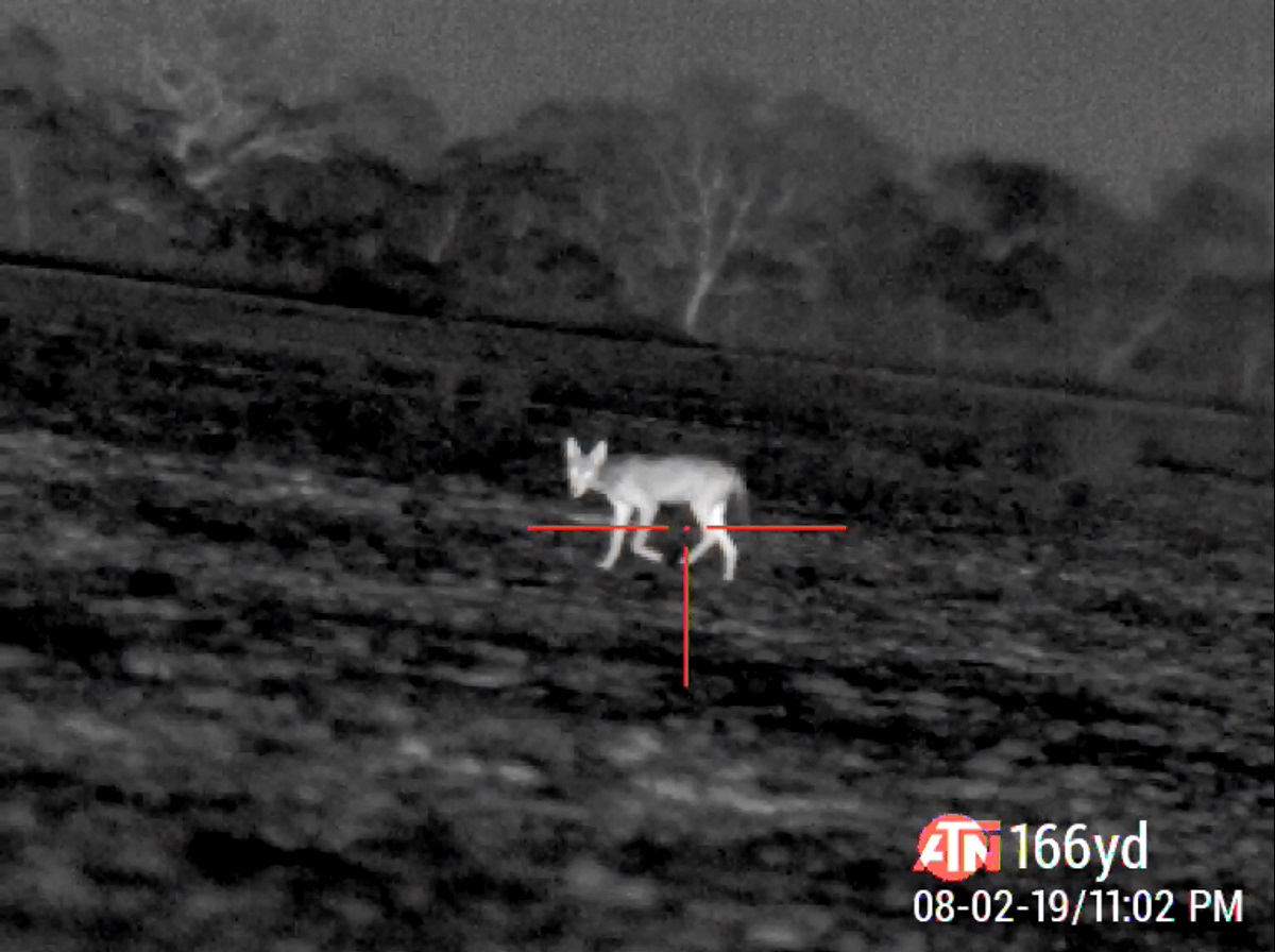 thermal-imaging-and-positive-id1.jpg