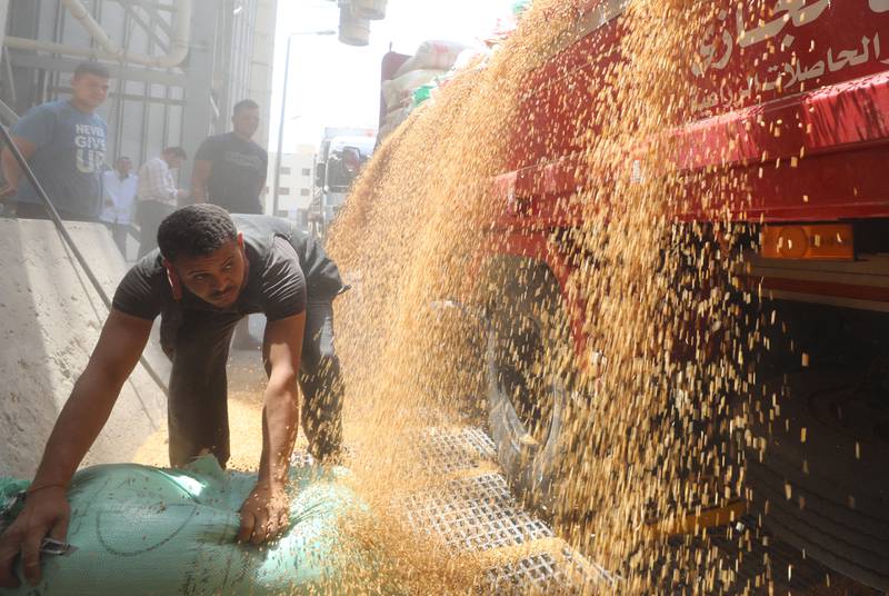 مُنع المزارعون المحليون من بيع القمح لأي شخص آخر غير الحكومة حتى أغسطس.