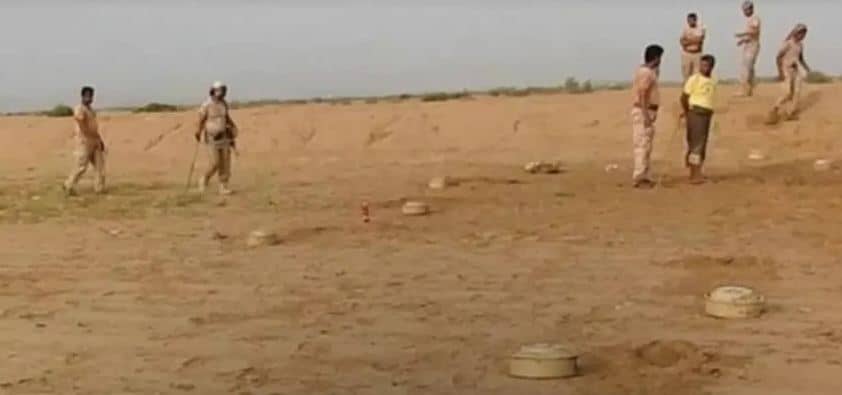الجيش اليمني ينزع 680 لغما حوثي ..فيديو