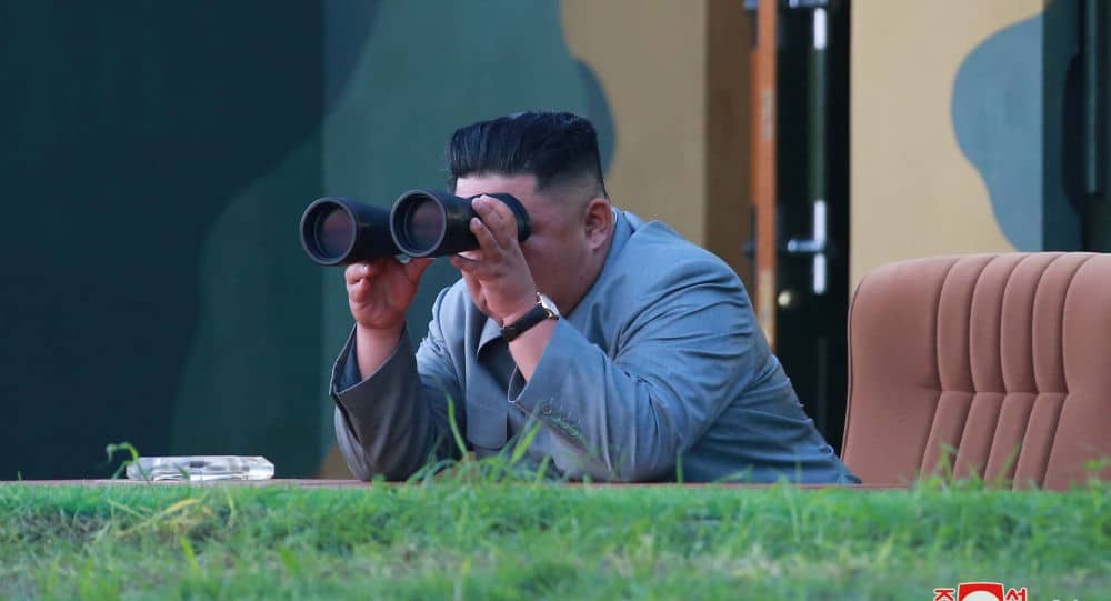 كوريا الشمالية تختبر راجمة صواريخ عملاقة متعددة الفوهات