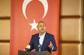 وزير الخارجية التركي: حفتر لن يكسب المعركة في ليبيا