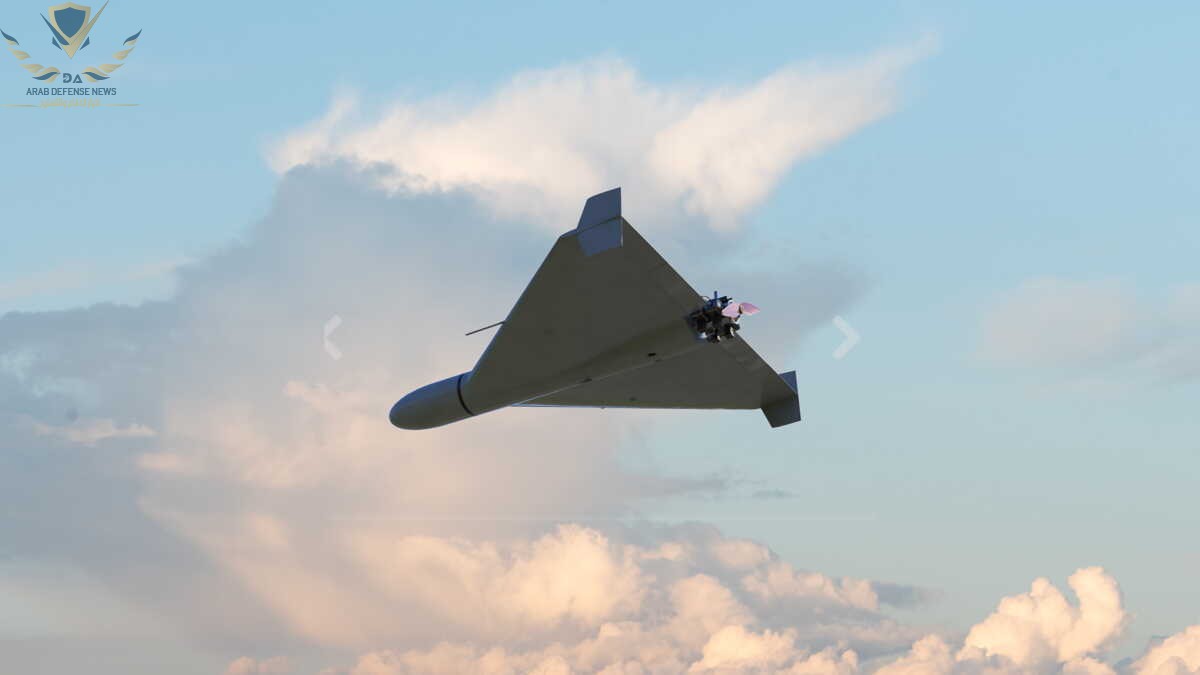 الصين تذهل السوق بطائرة مسيرة هجومية بعيدة المدى بقيمة 10 آلاف دولار