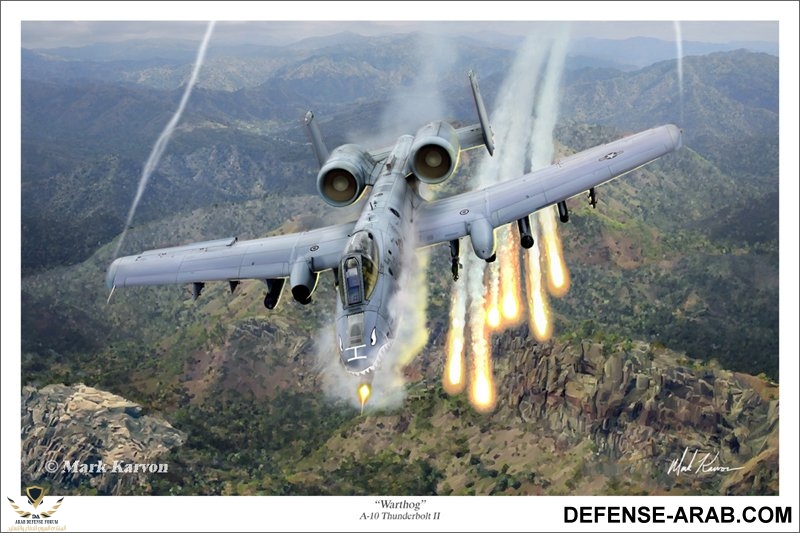 warthog_by_markkarvon-d48wft8.jpg