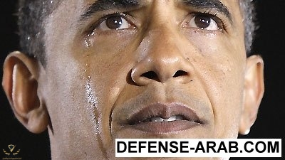 3_313818_large.jpg