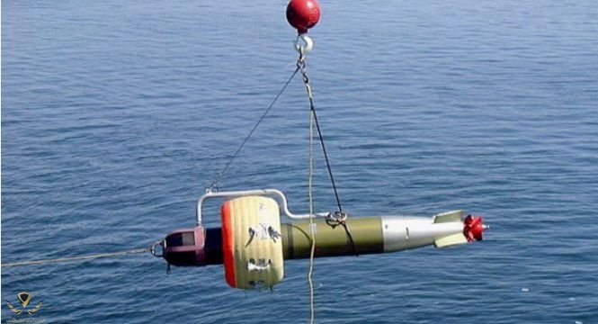 Indian_Navy_Torpedo.jpg