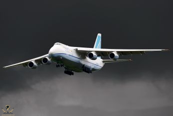 399233as.jpg
