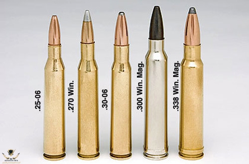 ob_462cc9_comparaison-300-win-mag-avec-les-autre.jpg