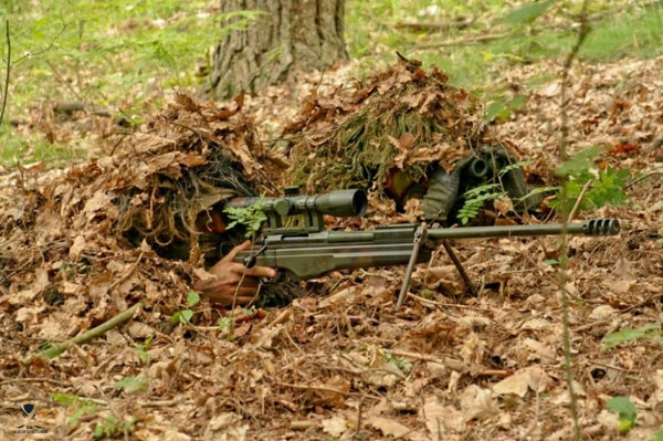 polish-sniper-black-div-920-713350.jpg21747.jpg