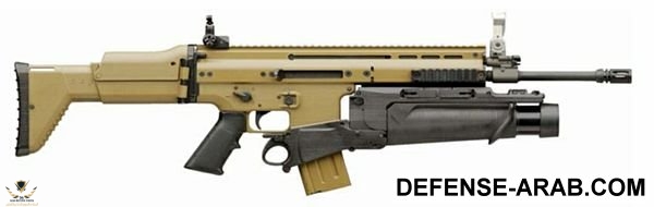 scar-l_eglm.jpg