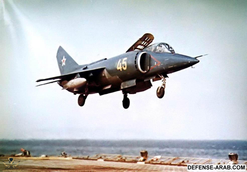 yak38_10.jpg