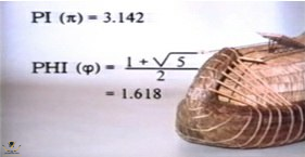 1527451286023.png