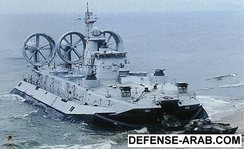zubr6.jpg