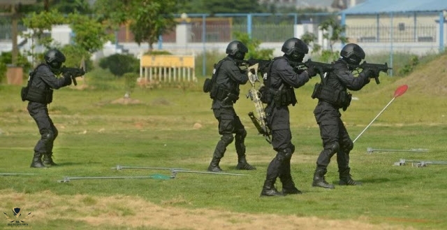 nn2.JPG