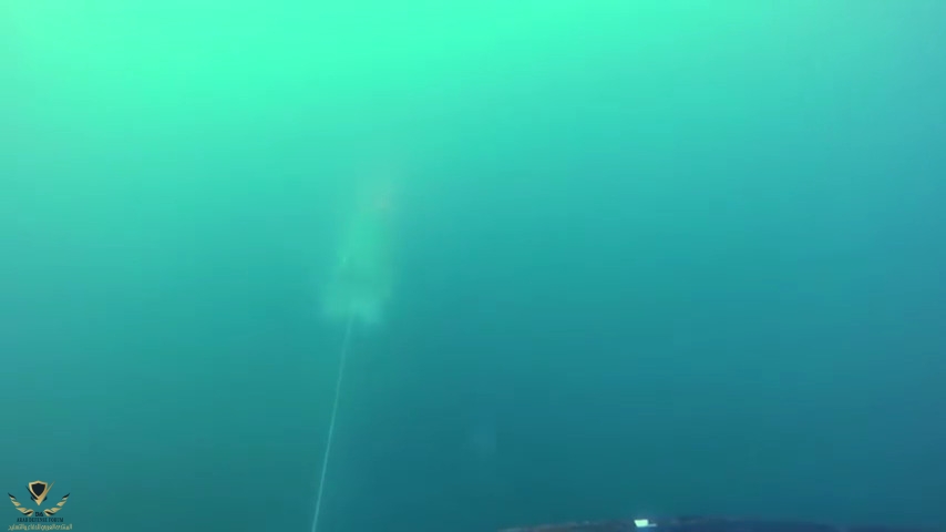 1529089555317.jpg