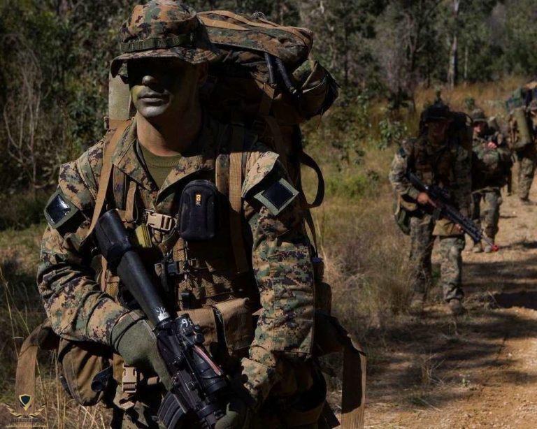 indra-announces-an-advanced-portable-electronic-defence-system-manpack-768x614.jpg