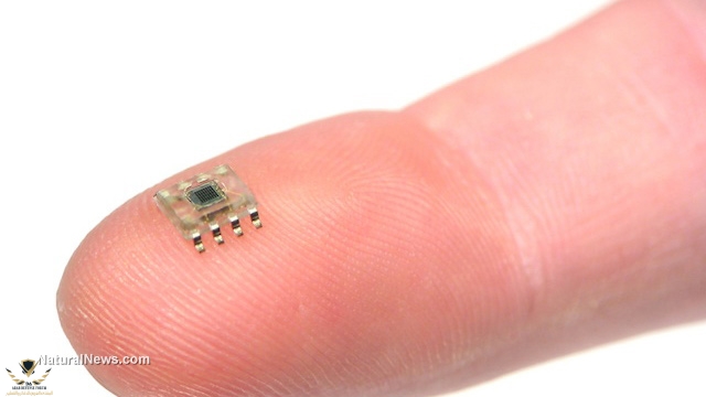 Microscopic-Tiny-Computer-Microchip.jpg