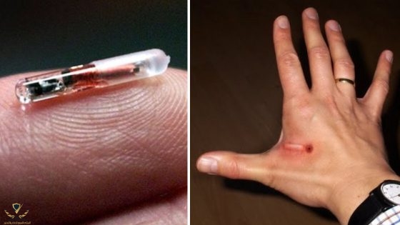 microchip.jpg
