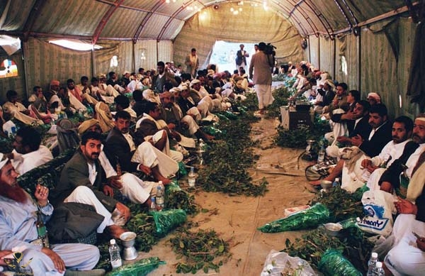 qat-yemen.jpg