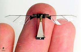 luniversite_du_maryland_met_au_point_le_plus_petit_robot_insecte_au_monde.jpg