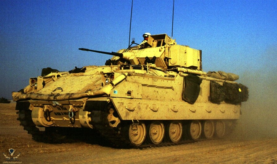 m2-bradley-ds.jpg