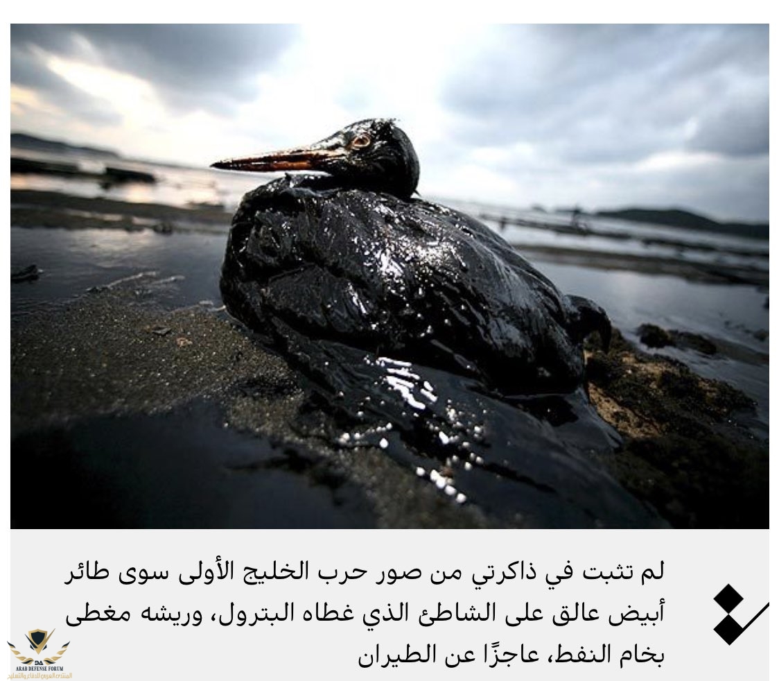IMG_٢٠١٨٠٨٢٧_١٠٥٠٥٧.jpg