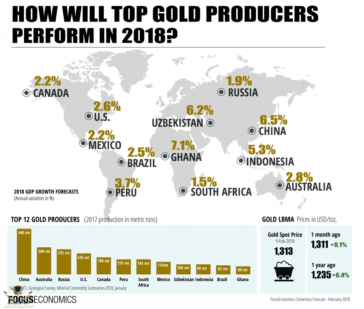 focuseconomics_top_gold_producers_february_2018-01.jpg