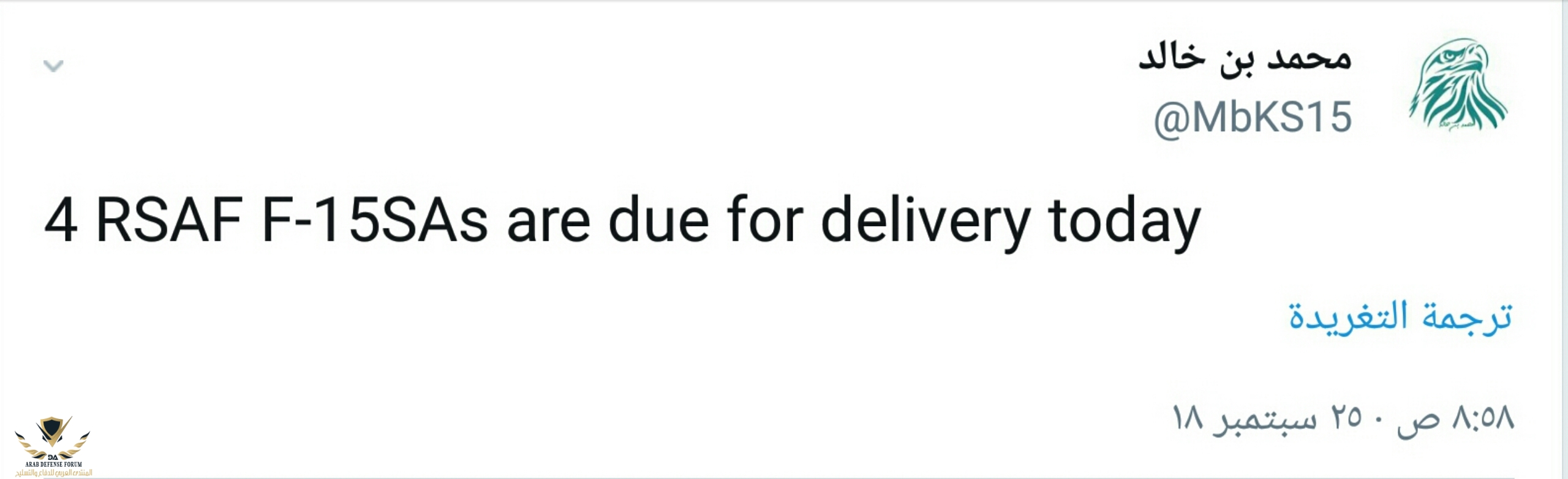 4 rsaf.jpg